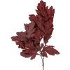 Decoración ramo rojo-marrón Clayre & Eef 15x22x104 cm