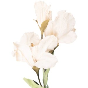 Decoración Ramo con Flores Clayre & Eef Beige Verde 10x18x85 cm