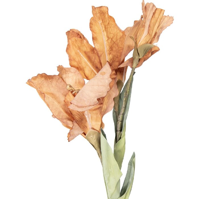 Decoración rama con flores Clayre & Eef 5PL0256Y 10x18x85 cm Marrón-Verde