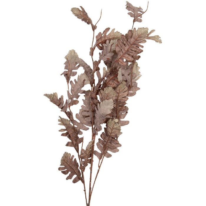 Decoración ramo Clayre & Eef Beige-Braun 10x15x108 cm