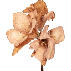 Flor artificial Clayre & Eef 5PL0264BE Marrón 16x16x65 cm