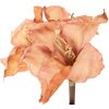 Flor artificial Clayre & Eef 5PL0264P 16x16x65 cm Naranja-Marrón