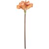 Flor artificial Clayre & Eef 5PL0264P 16x16x65 cm Naranja-Marrón