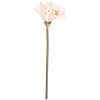 Flor artificial Clayre & Eef 5PL0264W Beige-Braun 16x16x65 cm