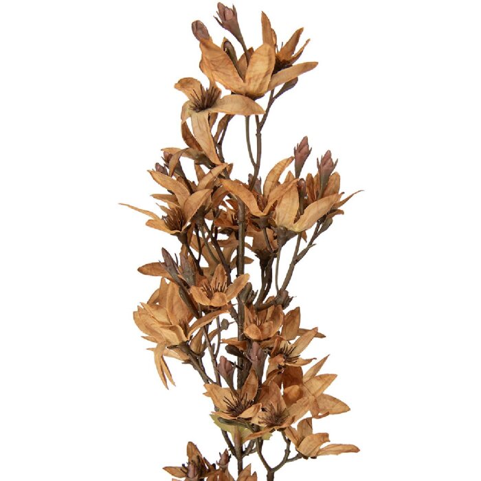 Decoración Clayre & Eef rama con flores marrón-verde 10x10x95 cm