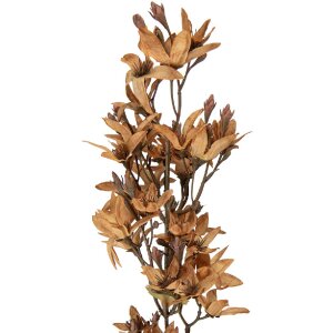Decoración Clayre & Eef rama con flores marrón-verde 10x10x95 cm