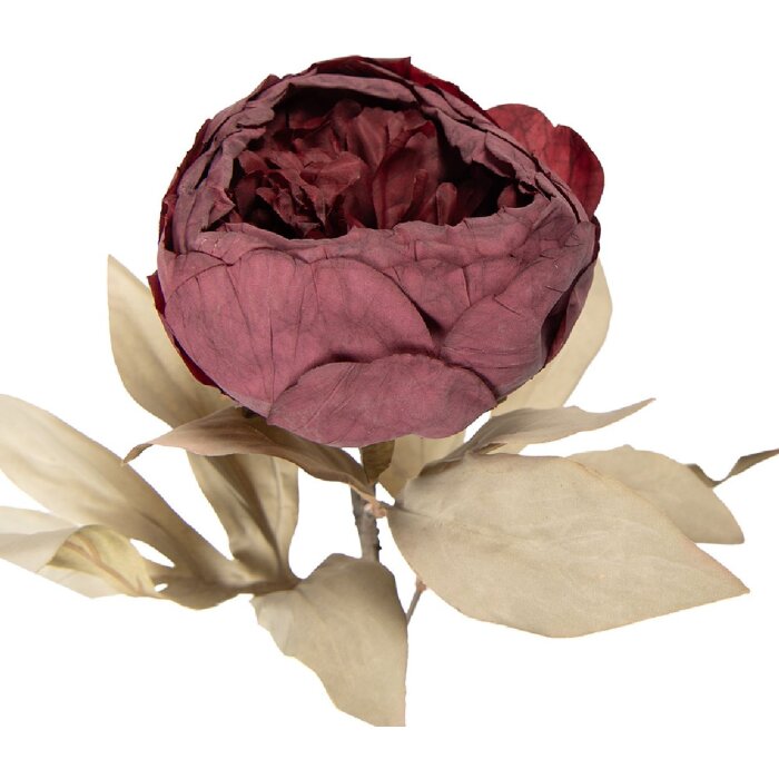 Flor artificial Clayre & Eef 5PL0266R Rojo-Verde 11x11x62 cm