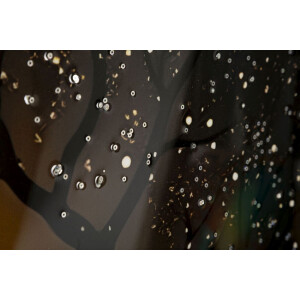 Cuadro de pared Mauro Ferretti "Pavo real" – Lienzo decorativo con marco 70x100 cm