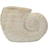 Mauro Ferretti Vase SHELL SAND Beige 33x19x23cm