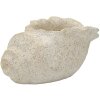 Vasija SHELL SAND Beige 35x23x18cm de Mauro Ferretti