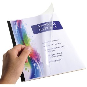 Paquete de 100 fundas de PVC para DIN A4, 0,2 mm