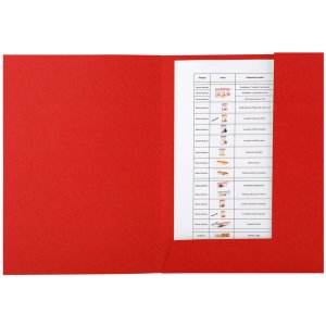 Carpeta SIEMPRE ordenada
