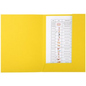 Carpeta SIEMPRE ordenada