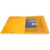 Carpeta A4 Linicolor surtida