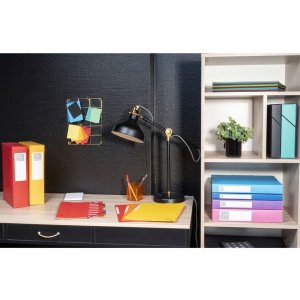 Caja de archivo Exabox 25mm Nature Future DIN A4 colores surtidos
