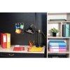 Caja de archivo Exabox 25mm Nature Future DIN A4 colores surtidos