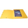 Caja de archivo Exabox 25mm Nature Future DIN A4 colores surtidos