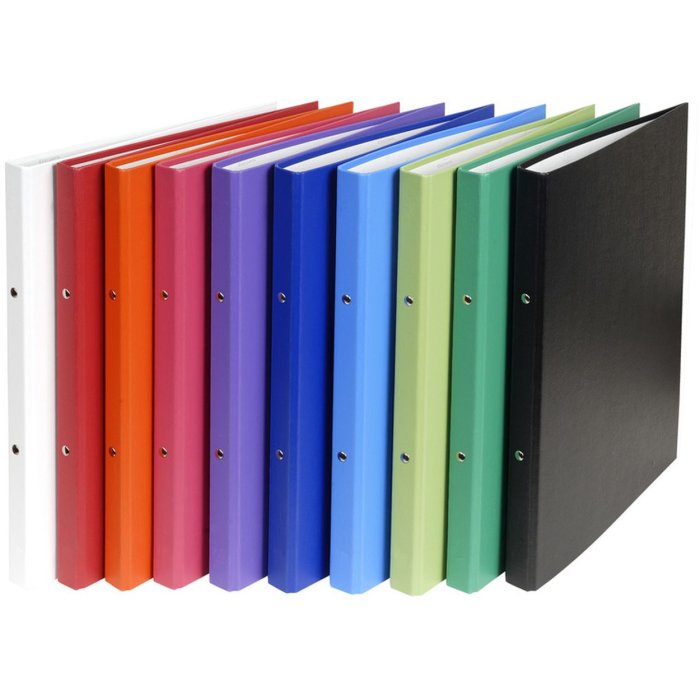 Carpeta de anillas PP plastificado, 2 anillas 15mm para formato DIN A4 colores surtidos
