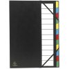 Carpeta organizadora 12 compartimentos, Ordonator, para formato DIN A4