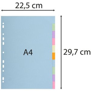FOREVER Index 180g DIN A4 Separadores