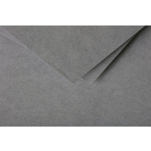 Papel de polen A4 120 g 50 hojas gris oscuro