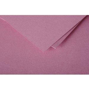 50 hojas de papel Polen, DIN A4, 120 g Rosa Hortensia