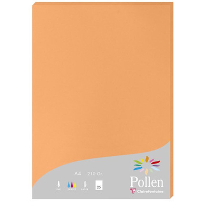 Papel A4 Polen 210g Clementina 25 hojas