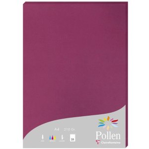 Papel A4 Polen 210g frambuesa 25 hojas