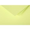 25 hojas de papel Polen, DIN A4, 210 g verde capullo