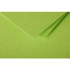 Tarjeta C6 Polen 210g Menta
