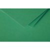 Sobre C6 Polen 120g verde abeto