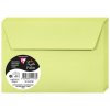 Sobre C6 Polen 120g brote verde