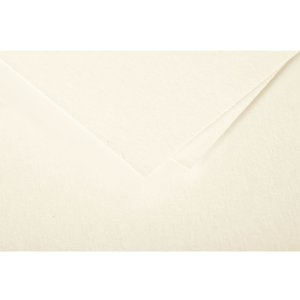 Paquete de 25 Tarjetas Dobles Polen, DL 106x213mm, 210g -...