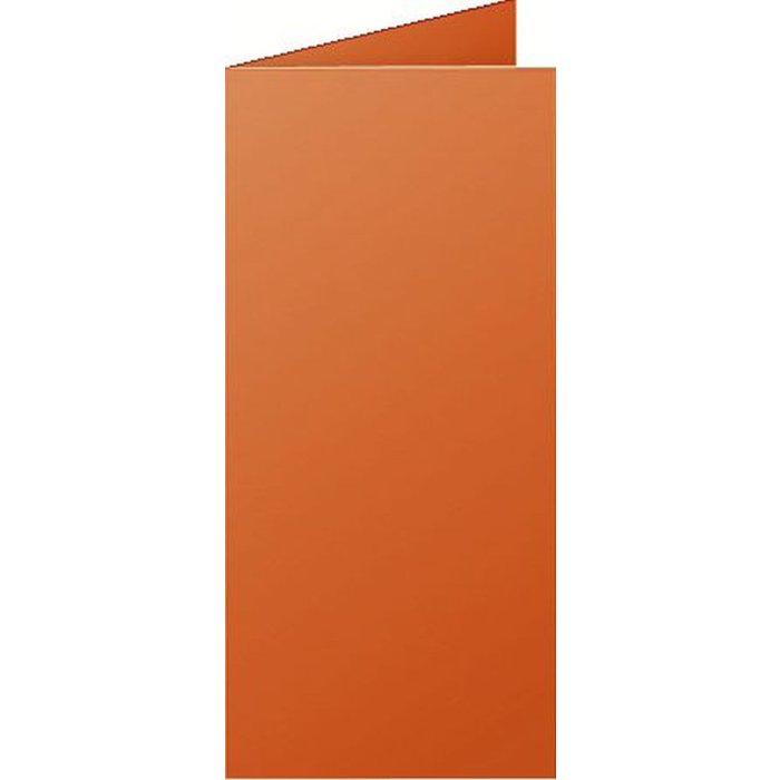 Paquete de 25 tarjetas dobles Polen, DL 106x213mm, 210g