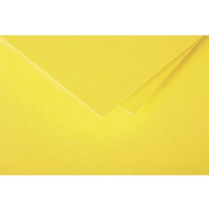 Sobre DL Polen 120g Sol