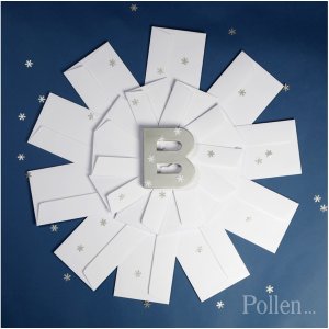 Sobre DL Polen 120g Blanco