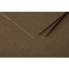 Paquete 25 Tarjetas Mini Polen, 70x95mm, 210g Marrón Topo
