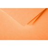 Sobre polen 20 piezas clementina 75x100 mm 120g