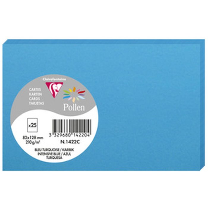 Mapa Polen 82x128 Caribe