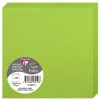 Tarjeta doble Polen 135x135 menta