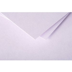 Sobre polen 20 piezas glicinia 140x140 mm 120g