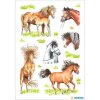 Adorables pegatinas de caballos de la serie DECOR