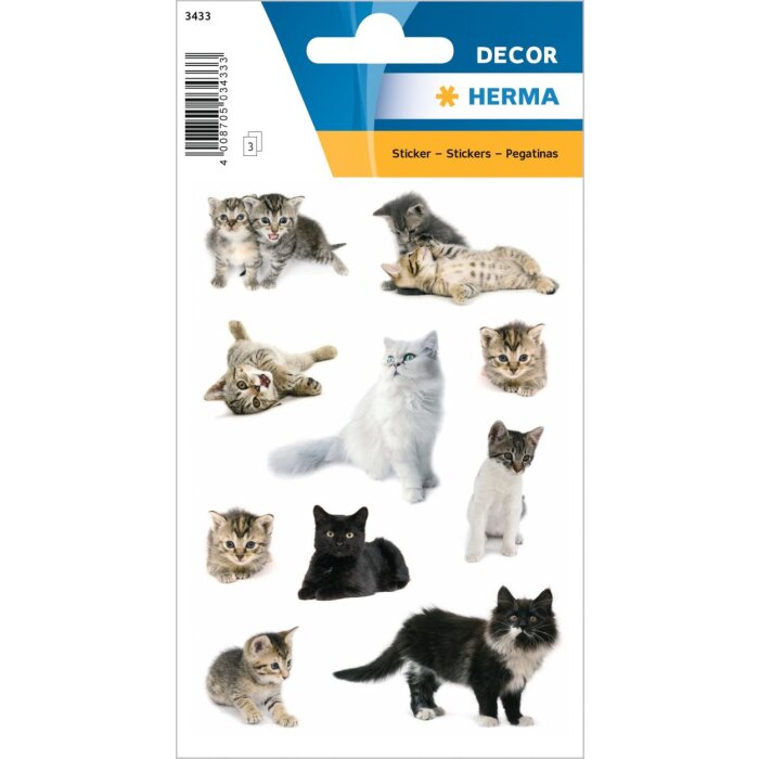 Gatitos de peluche y bebés gatitos de la serie DECOR