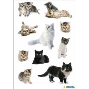 Gatitos de peluche y bebés gatitos de la serie DECOR