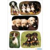 Pegatinas HERMA adorables cachorros de perro by DECOR