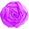 Rollo de papel crepé fucsia - 95103C Clairefontaine