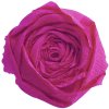 Rollo de papel crepé rojo ópera - 95108C Clairefontaine