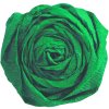 Rollo de papel crepé verde pino - 95174C Clairefontaine