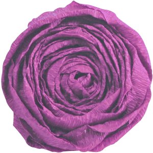 Rollo de papel crepé en burdeos - 95182C Clairefontaine