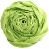 10 hojas de papel crepé verde manzana 200x50 cm